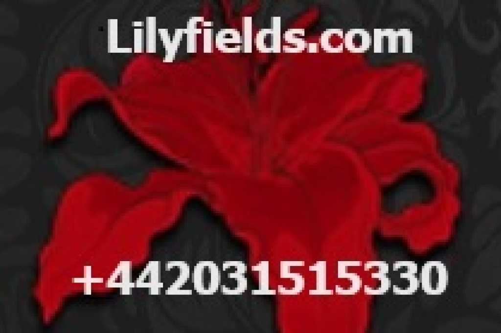 Lilyfields - 